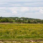 20140510_Fishing_Stara_Moshchanytsia_037.jpg