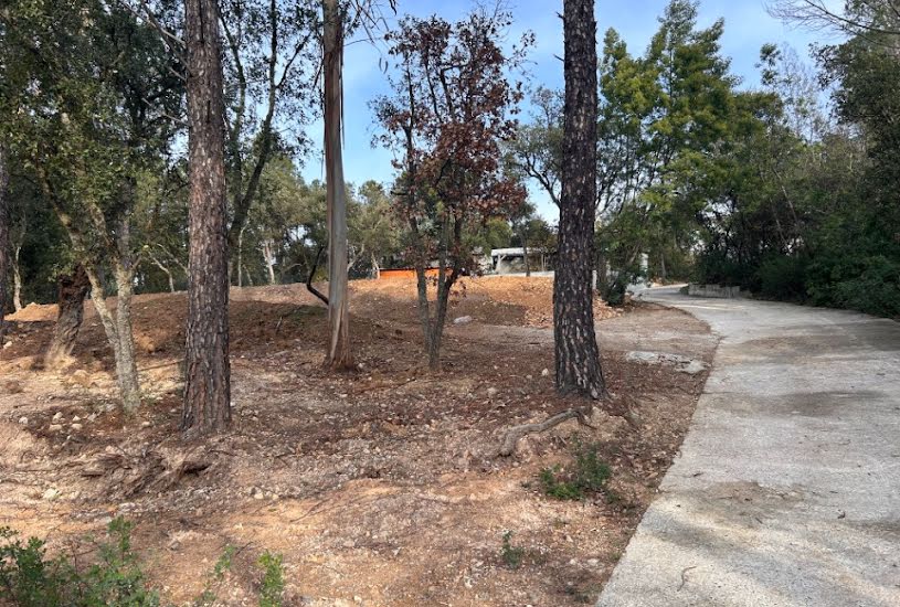  Vente Terrain + Maison - Terrain : 720m² - Maison : 90m² à Vidauban (83550) 