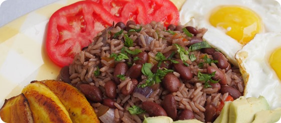 gallo pinto 1