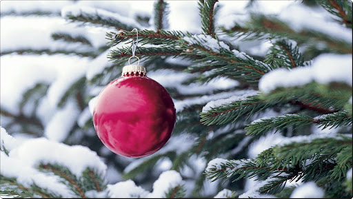 Red Ornament on Tree.jpg