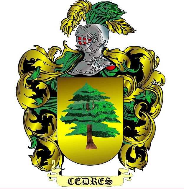 ESCUDO HERALDICO