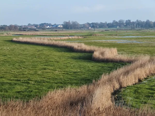 Aldeburgh marsh