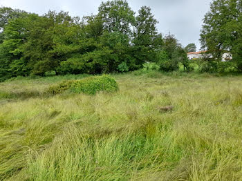 maison neuve à Boisseuil (87)