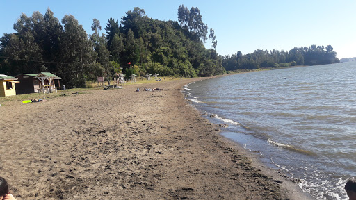 Playa Las Chasquillas, Lago Budi, Temuco, Saavedra, IX Región, Chile, Centro vacacional de playa | Araucanía