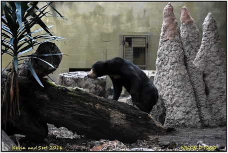 [Chester-Zoo-D7200--14-10-2016-12-04-%255B2%255D.jpg]