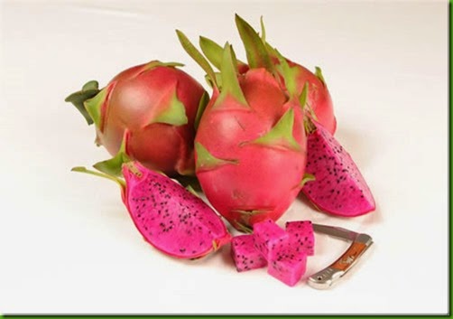 Pitaya Halleys Comet