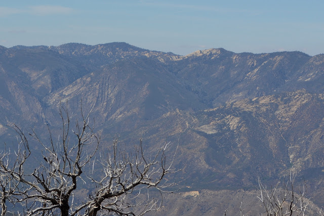 claw marks on the side of a mountain