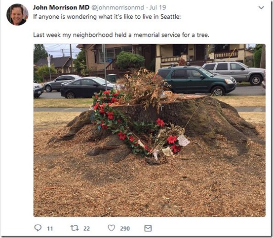 seattle memorial for tree