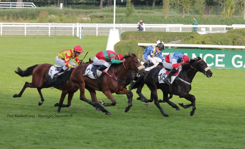 Photos Auteuil 26-09-2015 - Page 2 IMG_4416