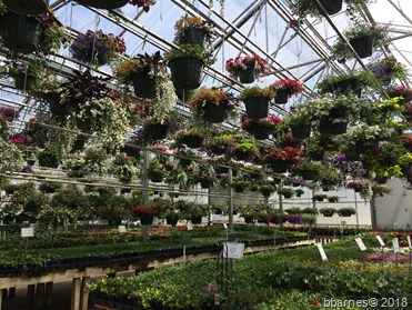 Natures Edge Garden Center 04302018 Natures Edge Garden Center 04302018