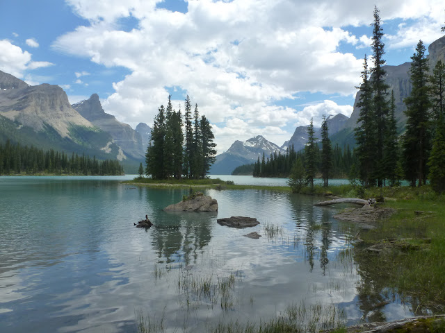 Jasper. Cañón Maligne, lagos Medicine, Maligne,  Patricia y Pyramid. 6 de Julio - LAS ROCOSAS DE CANADA. YELLOWSTONE Y GRAND TETON. (31)