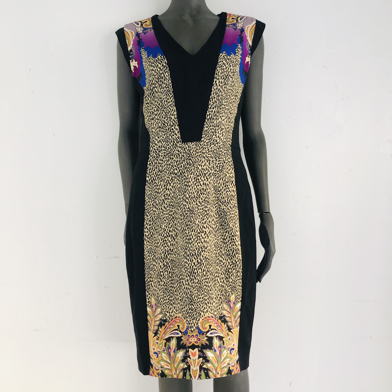 Etro Printed Sleeveless Dress