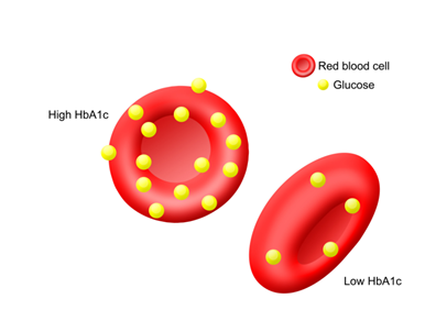 2 Hba1c Uae.vn