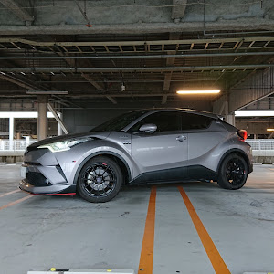 C-HR ZYX10