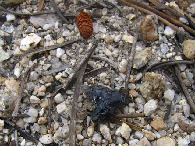 bird sized arrowhead