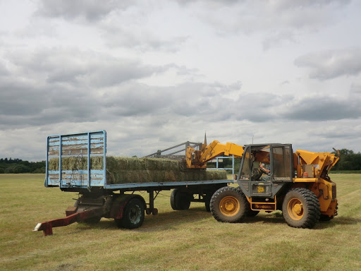 CIMG8924 Hay making on Hemingford Grey Meadow