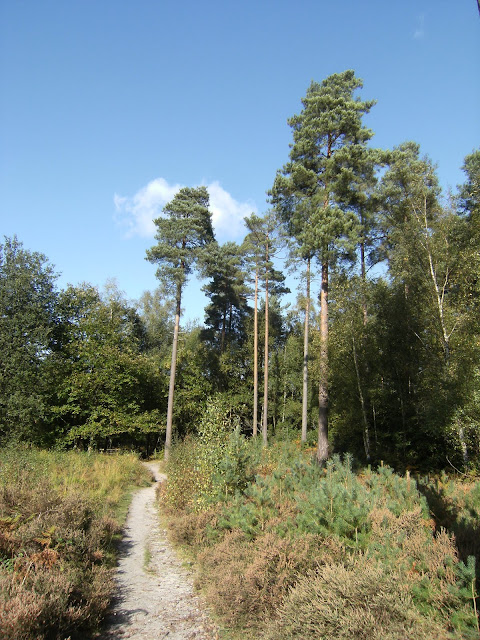 DSCF0107 Path near Heath Pond