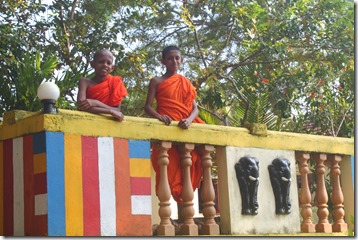 Ланка (110)