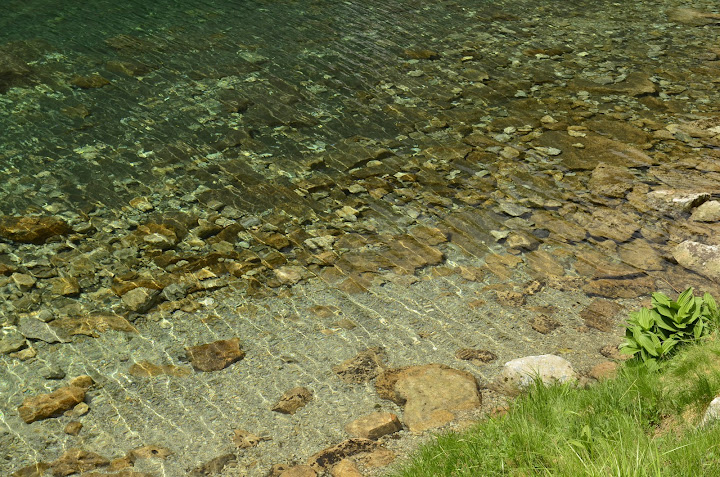 Татры, июнь 2015. с собакой