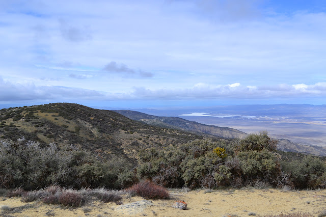 looking back along the ridge