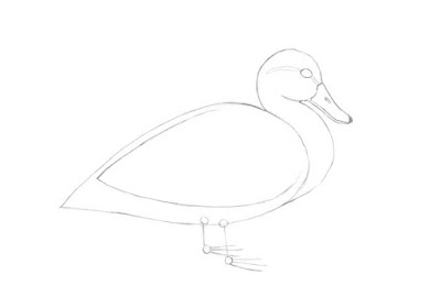 how to draw a duck