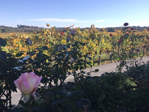 Winery «J Rochioli Vineyards & Winery», reviews and photos, 6192 Westside Rd, Healdsburg, CA 95448, USA