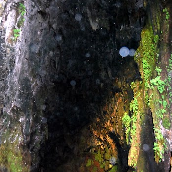 MONASTERIO DE PIEDRA_086.JPG