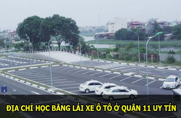 tư vấn học lái xe ô tô