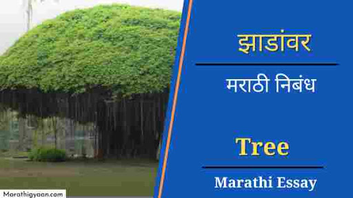 tree essay writing in marathi