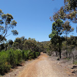 Wide trail at top of ridge (219368)