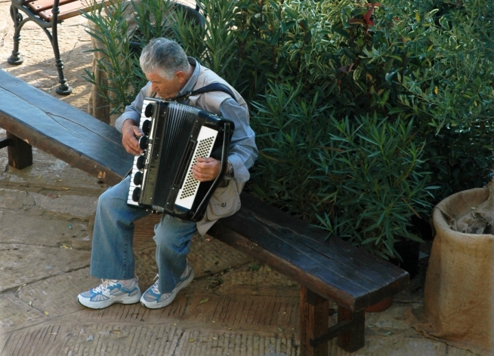 La Fisarmonica di T.G.Colombo