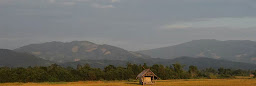 Profile cover photo