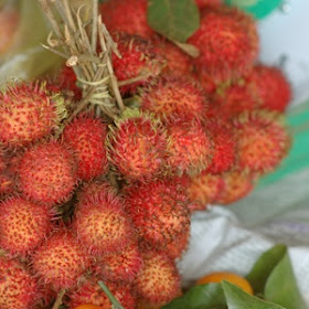 rambutan fruit on a vine