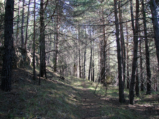 Senederismo: Xodos - Mas de Vela - Penyagolosa - Sant Joan