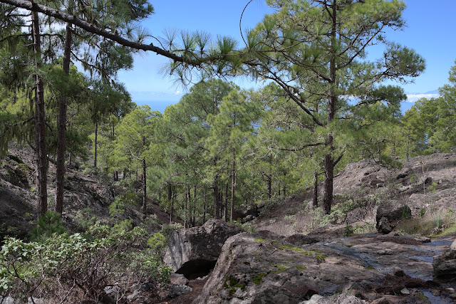 GRAN CANARIA MAR Y MONTE - Blogs de España - ARTENARA Y PARQUE NATURAL DE TAMADABA (12)