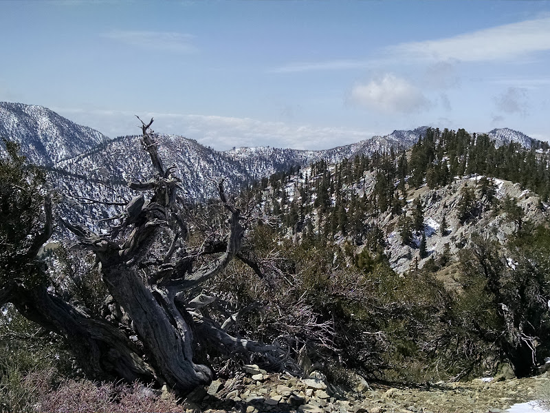 Thunder Mountain, Telegraph Peak, and Timber Mountain • View of Timber Mountain