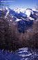 Avalanche Parpaillon, secteur Le Pouzenc, Crête du Lauzet - Photo 5 - © Duclos Alain