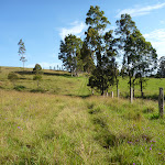 GNW heading through the open farm land (362300)