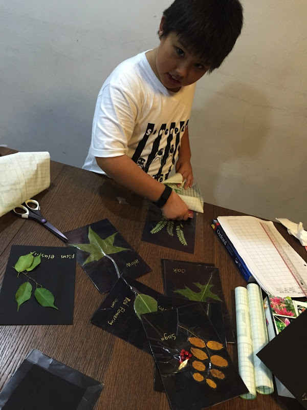 IMG_5411.jpg IMG 5411