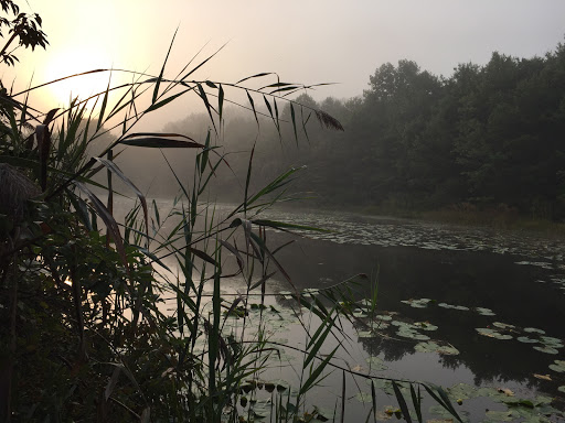 State Park «Swatara State Park», reviews and photos, 1450 Suedberg Rd, Pine Grove, PA 17963, USA