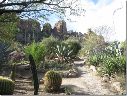 suncity_az_boyce_thompson_arb2