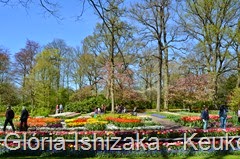 1 .Glória Ishizaka - Keukenhof 2015 - 92