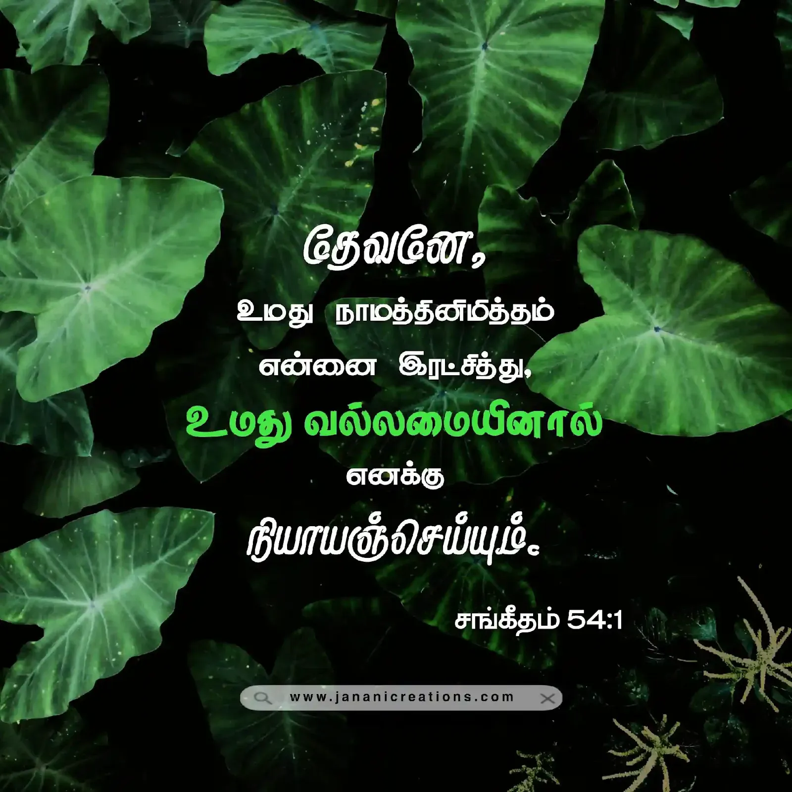 tamil bible 