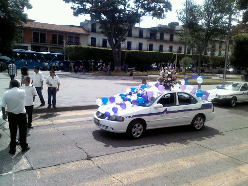 Radio Taxi Grupo Alfa, De La Cruz 4, colonia Casa del Niño, 60090 en Uruapan, Mich., México, Servicio de transporte | MICH