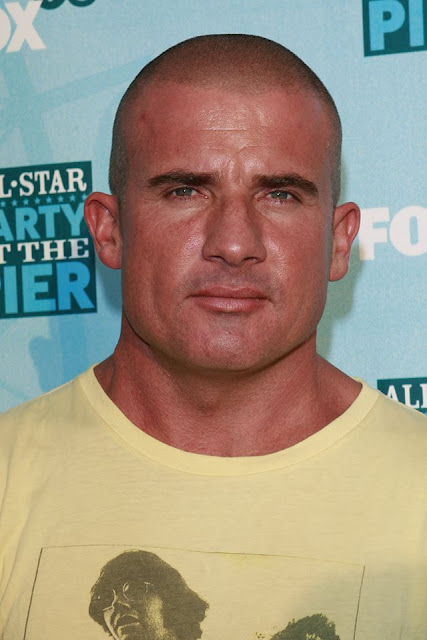 Dominic Purcell Profile Dp Pics