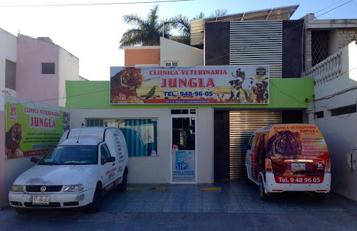 Clínica Veterinaria Jungla, Calle 8 #73 Por 15 y 17, México Nte., 97128 Mérida, Yuc., México, Cuidados veterinarios | YUC