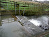 Weir at Duffers Bridge, Middleton