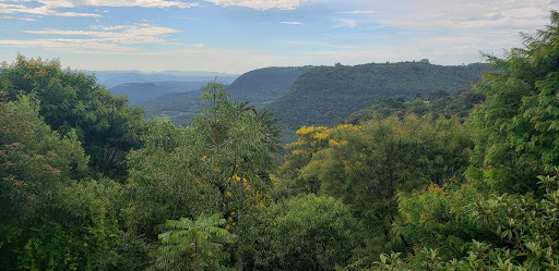 O Poder da Natureza...