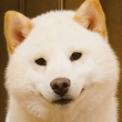 しろいぬのプロフィール画像