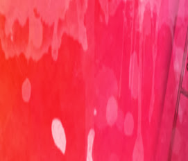 Cover photo